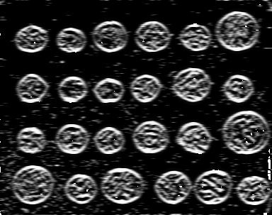 A2/images/coins/log_2.jpeg