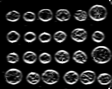 A2/images/coins/log_3.jpeg