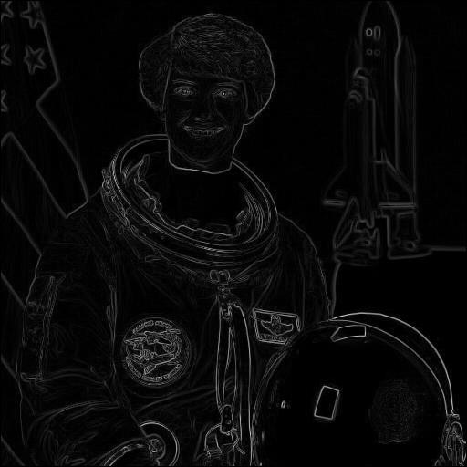 A2/images/astronaut/roberts.jpeg