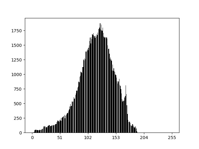 A2/images/histogram.jpeg